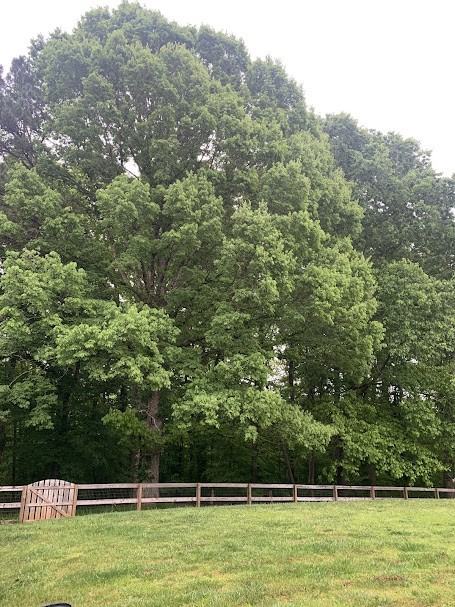 1157 Woodwinds Dr #NA - Photo 4 of 19