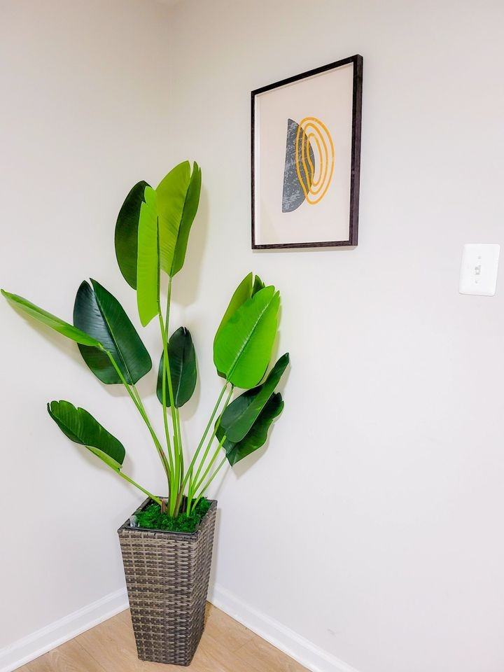 5311 59th Ave - Photo 4 of 12