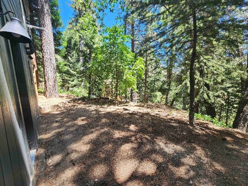 825 Sierra Vista Dr - Photo 6 of 14