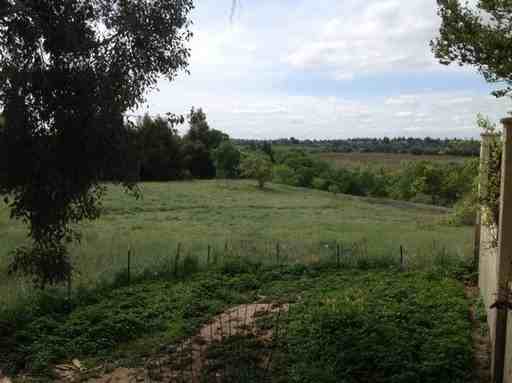 12418 Rancheria Dr - Photo 3 of 15