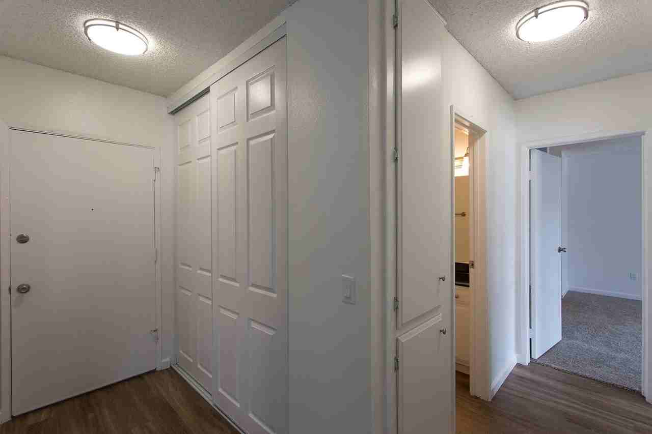 Volterra Apartments - Photo 7 of 29