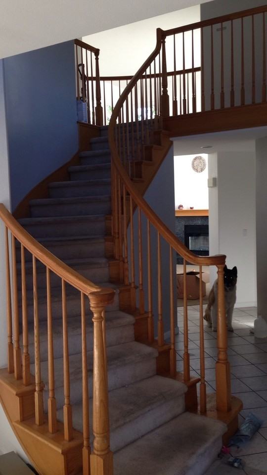 2701 Jewelstone Ct - Photo 3 of 12