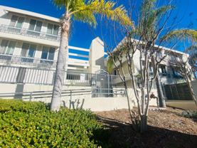 5540 Lindo Paseo #3 - Photo 1 of 1