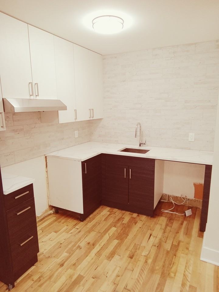 8270 Avenue Christophe-Colomb - Photo 3 of 10