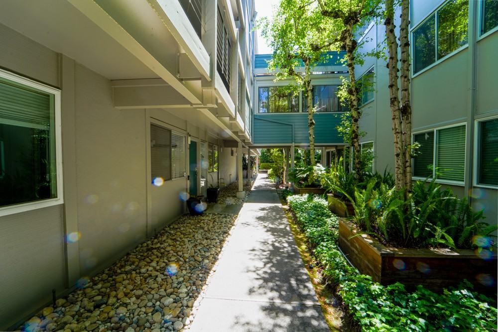 320 Vía Casitas #110 - Photo 4 of 29