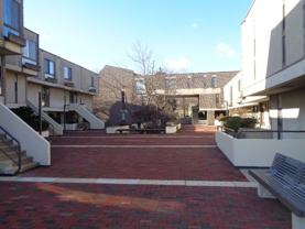 2218 Clove Ter - Photo 1 of 1