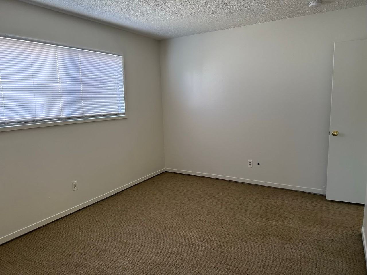 950 Ash Ave - Photo 6 of 8