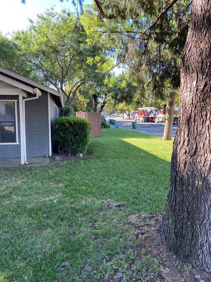 1145 West 7th Street - Photo 3 of 15