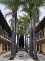 featured image of 14614 14614 and 14618 Chadron Ave