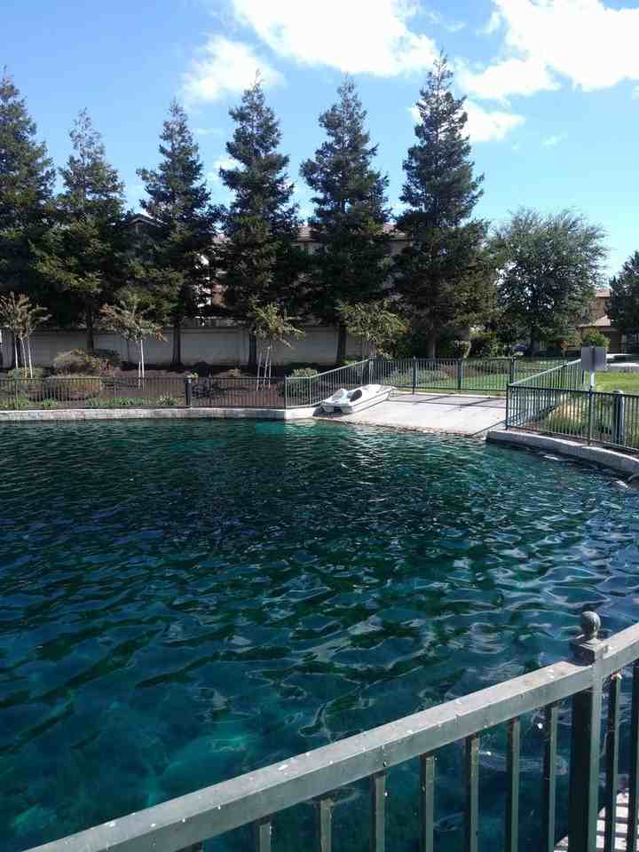 1417 1417 Oasis Lane - 1417 Oasis Lane - Photo 3 of 25