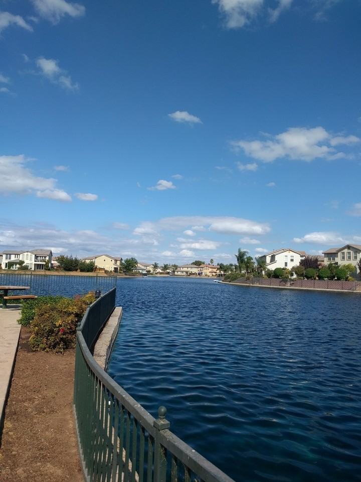 1417 1417 Oasis Lane - 1417 Oasis Lane - Photo 4 of 25