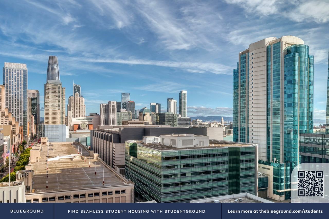 434 Minna Street - Photo 7 of 46