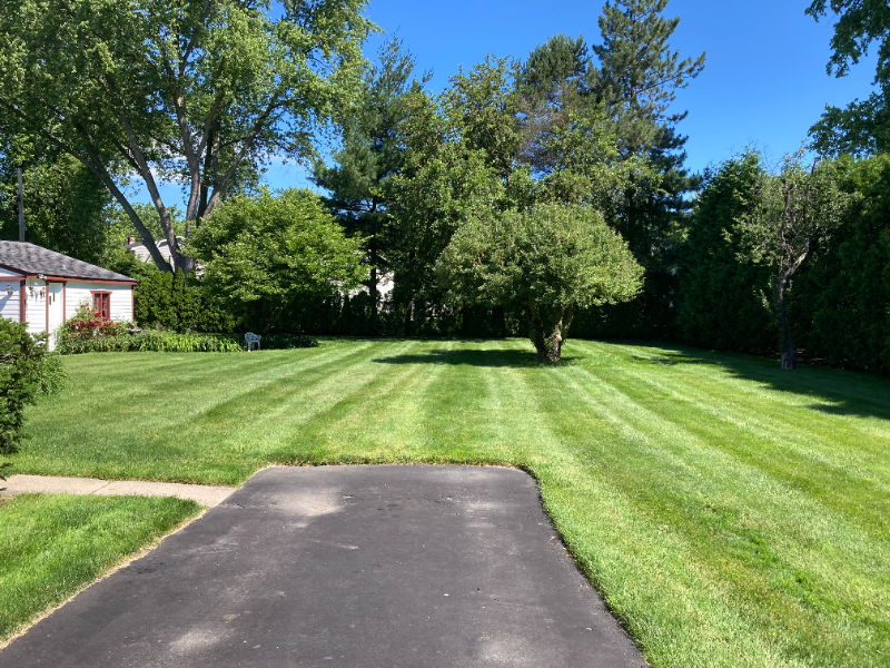 44670 Joy Rd - Photo 2 of 13