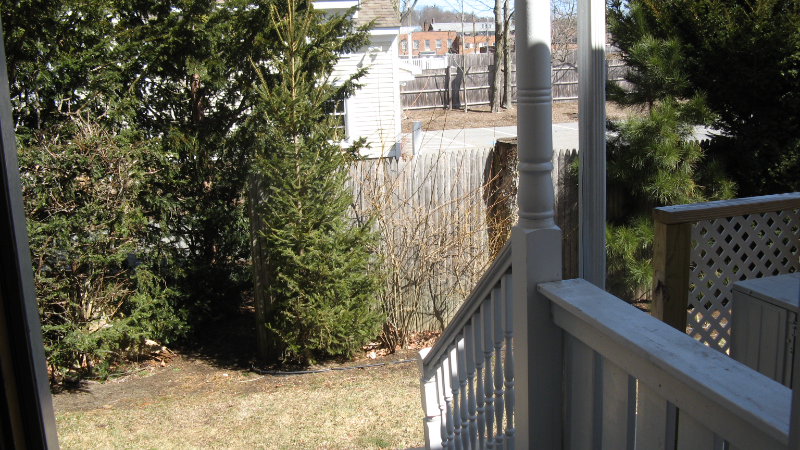 28 Muzzey St #28B - Photo 3 of 17