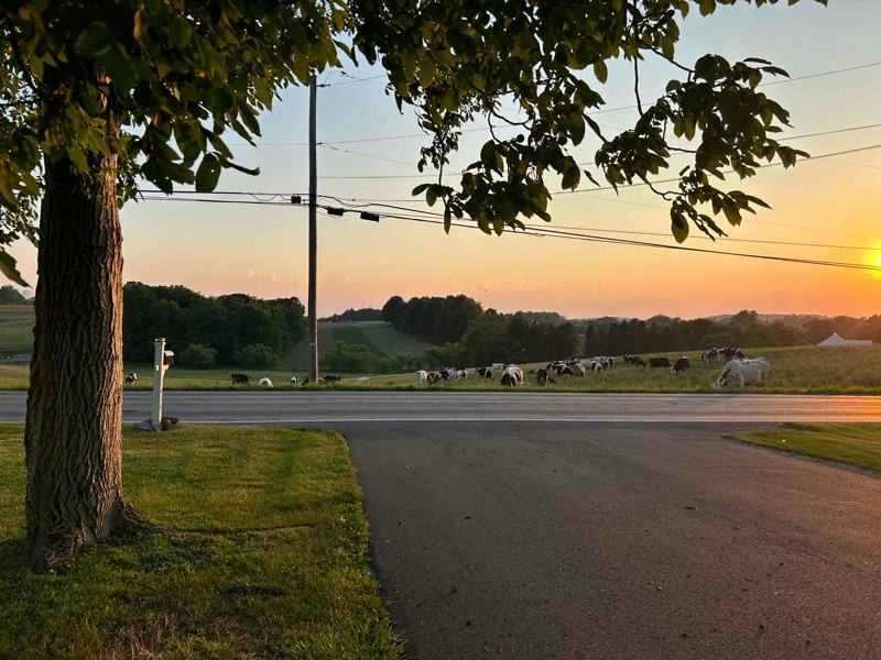 438 Walnut Run Rd - Photo 2 of 15