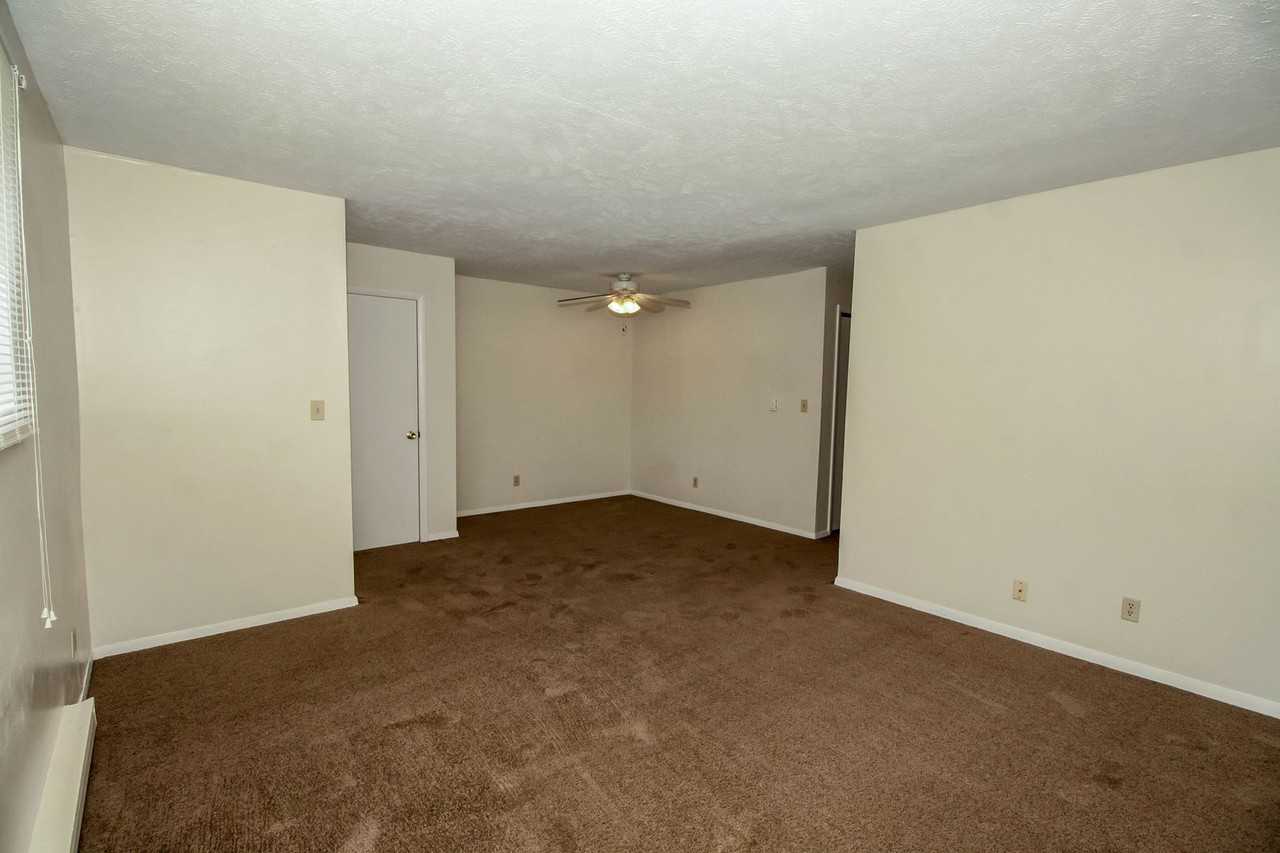 714 Arcadia - Photo 6 of 15