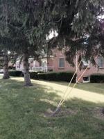 featured image of 4155 Seneca St #1