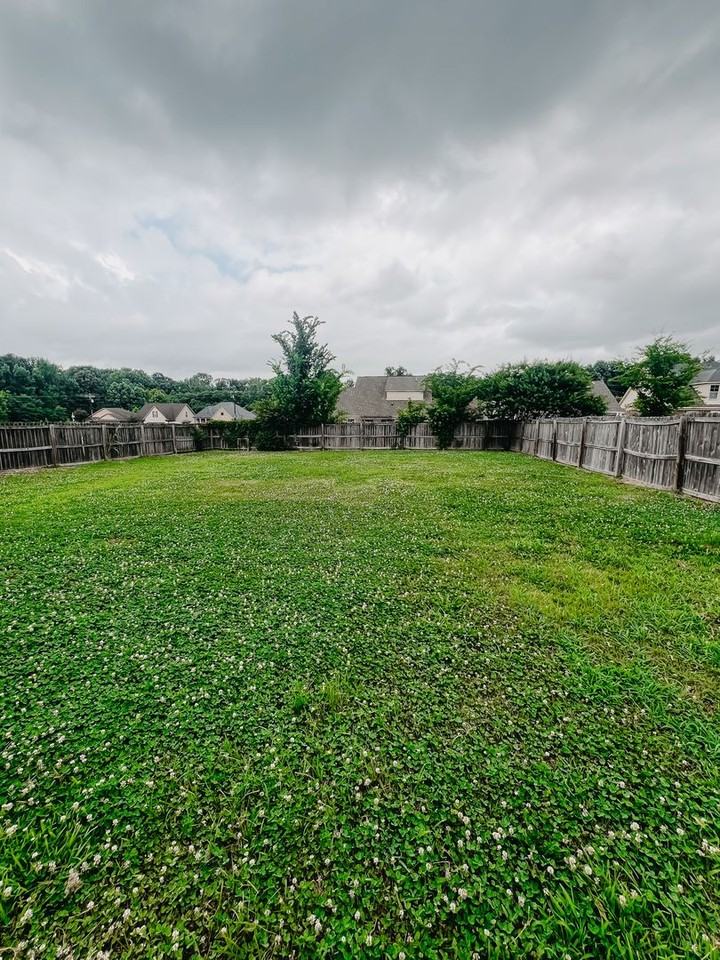 182 Hackberry Cv - Photo 3 of 18