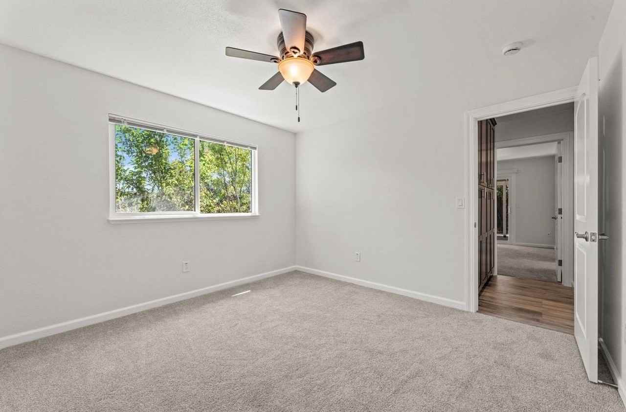 3449 Birch Tree Way - Photo 4 of 15