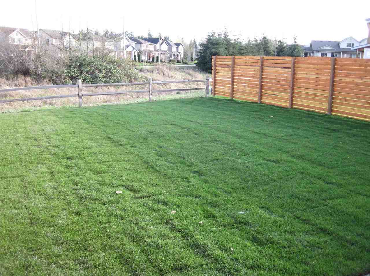 4732 Spring Vista Way - Photo 3 of 29