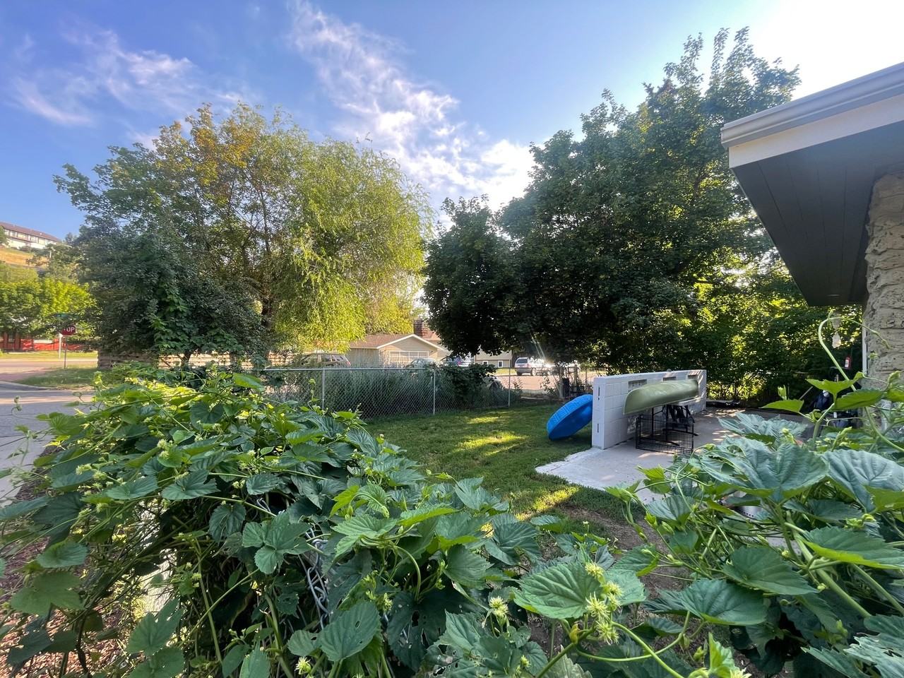 208 Dixon Ave #208 - Photo 2 of 11