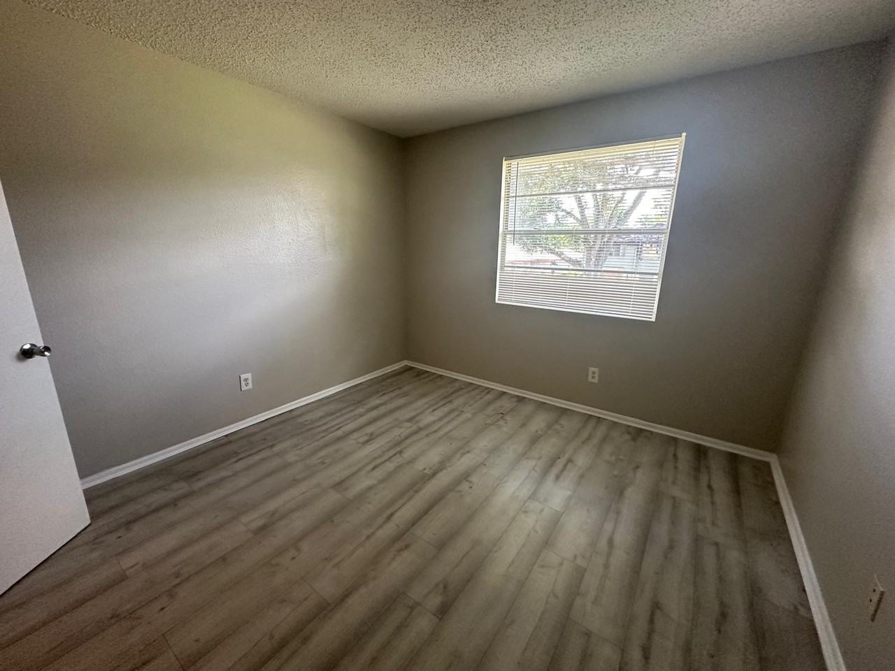 245 Thorn Tree Pl #1 - Photo 7 of 18