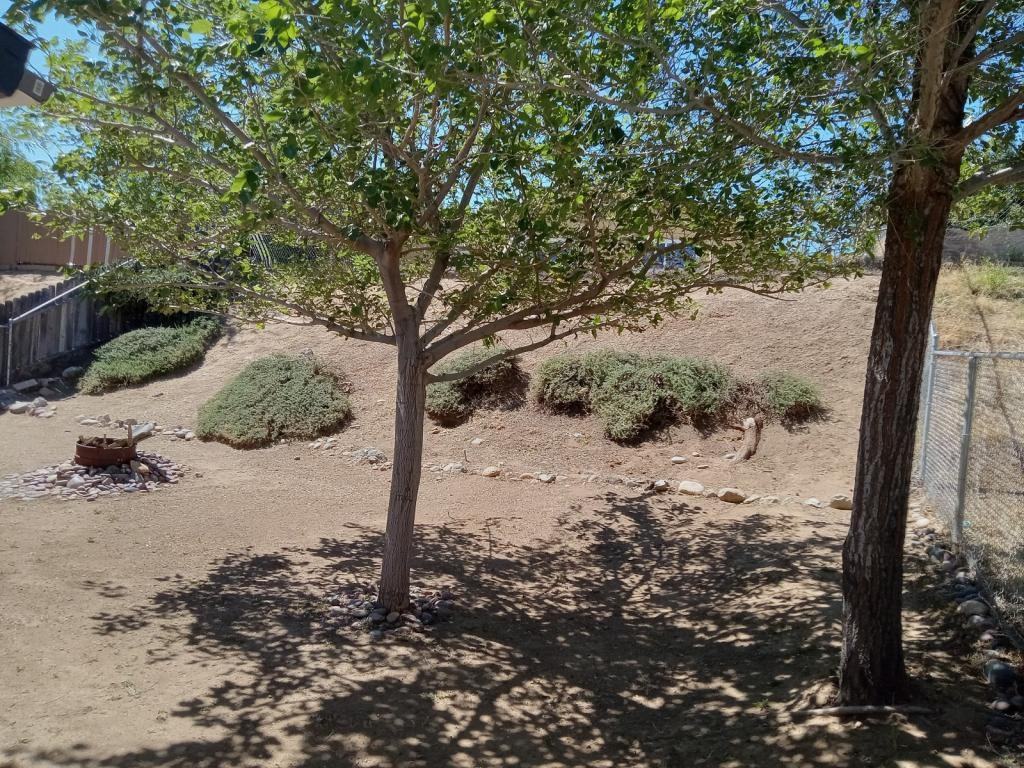 6816 Hemp Ct - Photo 4 of 4