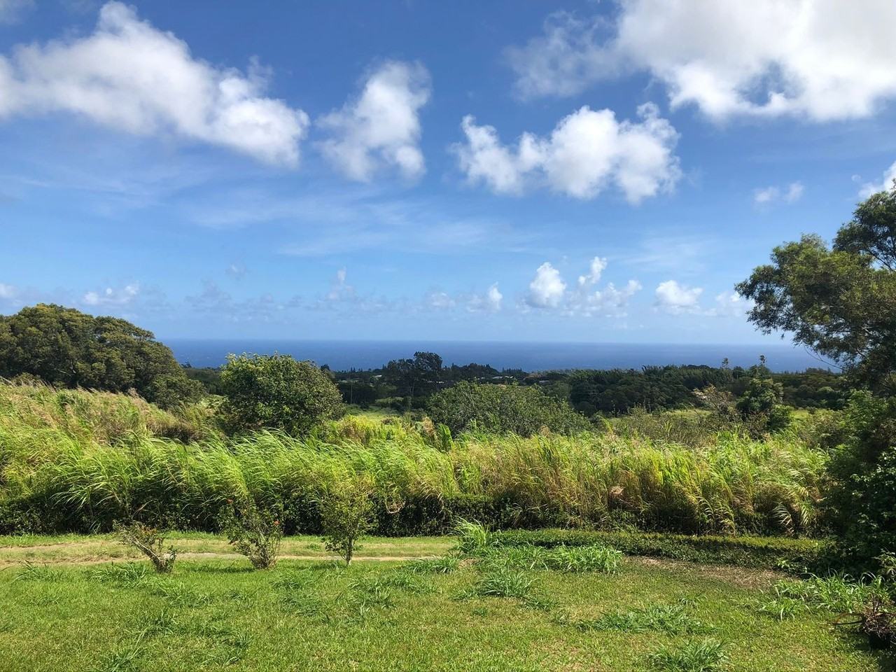 55-699 Kahei Rd - Photo 2 of 13