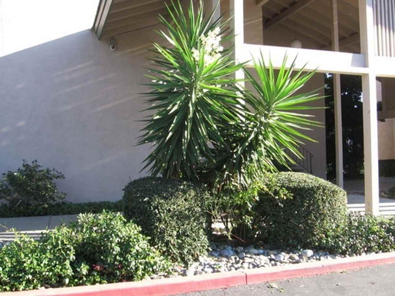 4888 Clayton Rd #5 - Photo 3 of 20