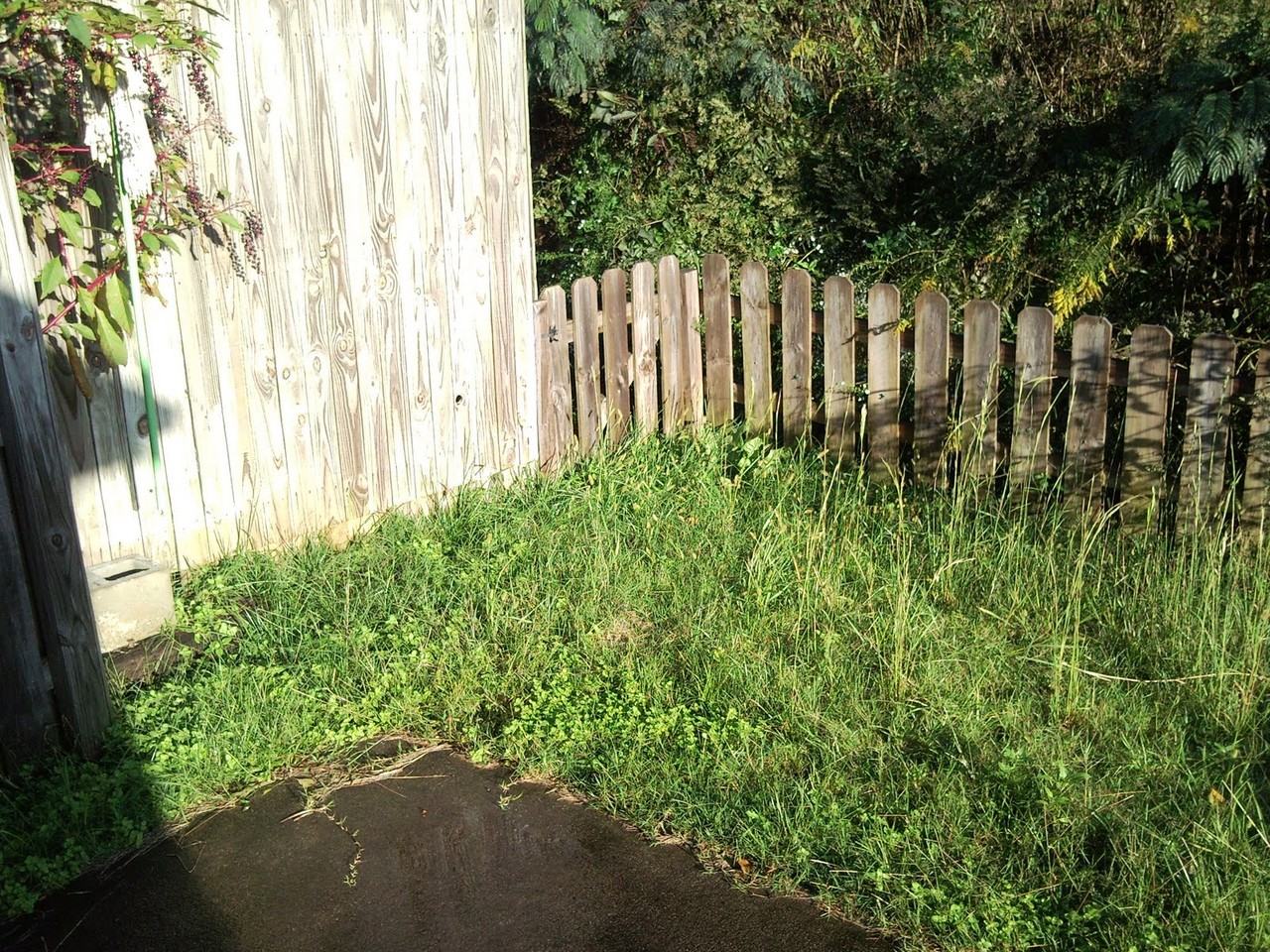 192 Hayesbury Ct - Photo 3 of 50