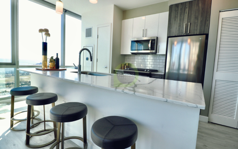 720 South Michigan Avenue #1305 - Photo 2 of 20