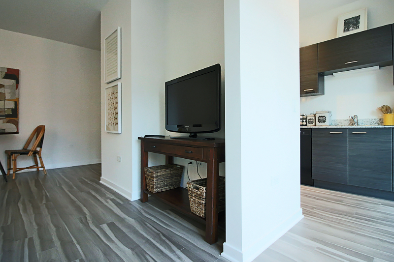 921 N La Salle Dr - Photo 3 of 9