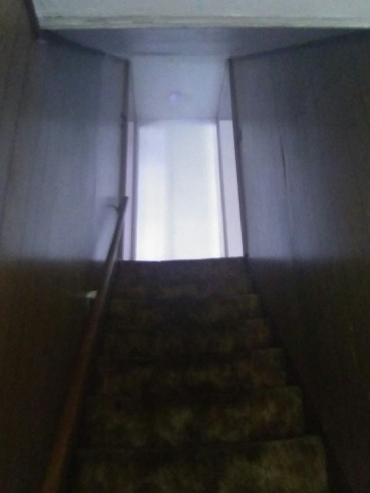 3136 McColloch Street - Photo 6 of 11