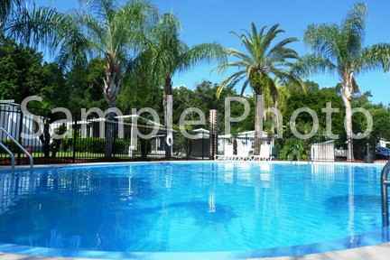 136 Areca Dr - Photo 2 of 5