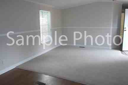 4867 Appoloosa Way - Photo 3 of 5