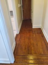 1855 Morris Park Ave #3 - Photo 1 of 1