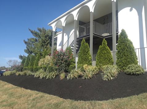 Schatten Properties 1 of 4