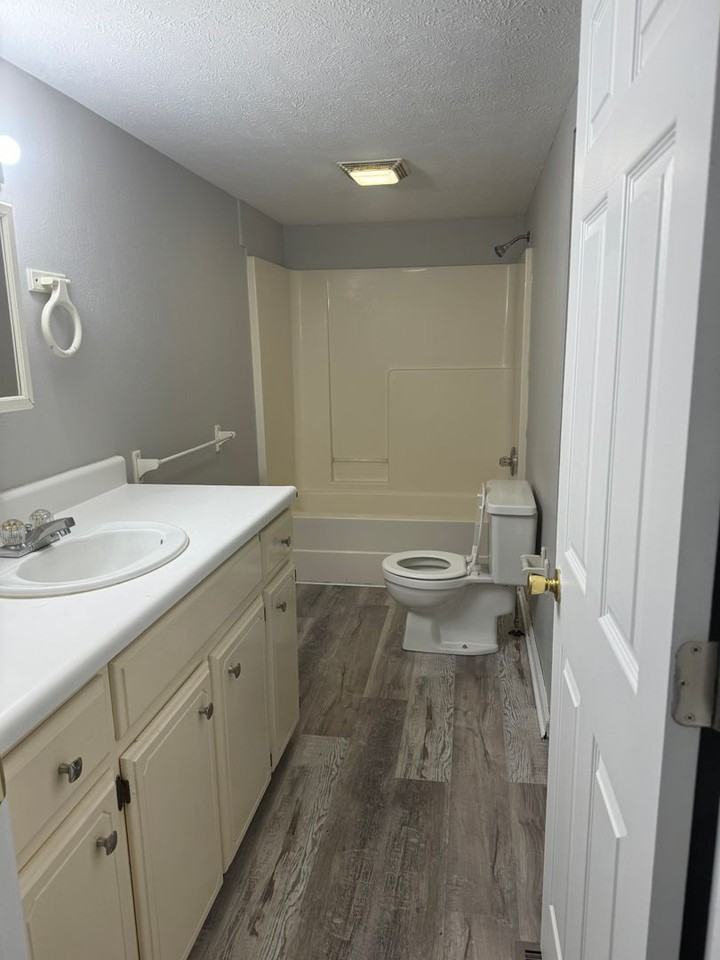 1046 E Locust St - Photo 7 of 11