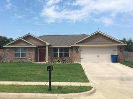 featured image of 409 Noah