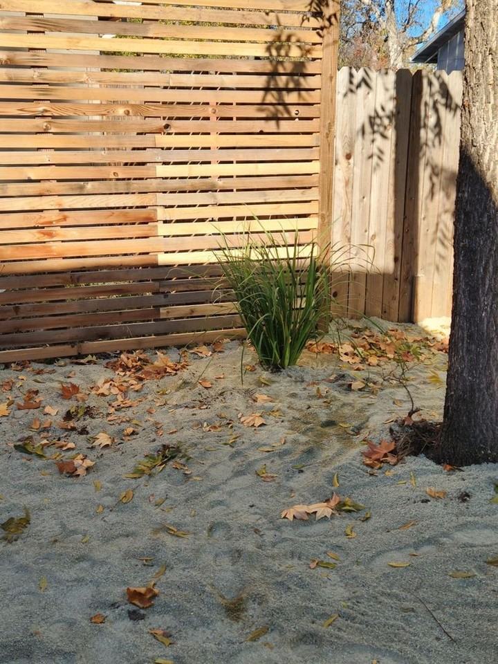 3433 Willow St #2 - Photo 4 of 14