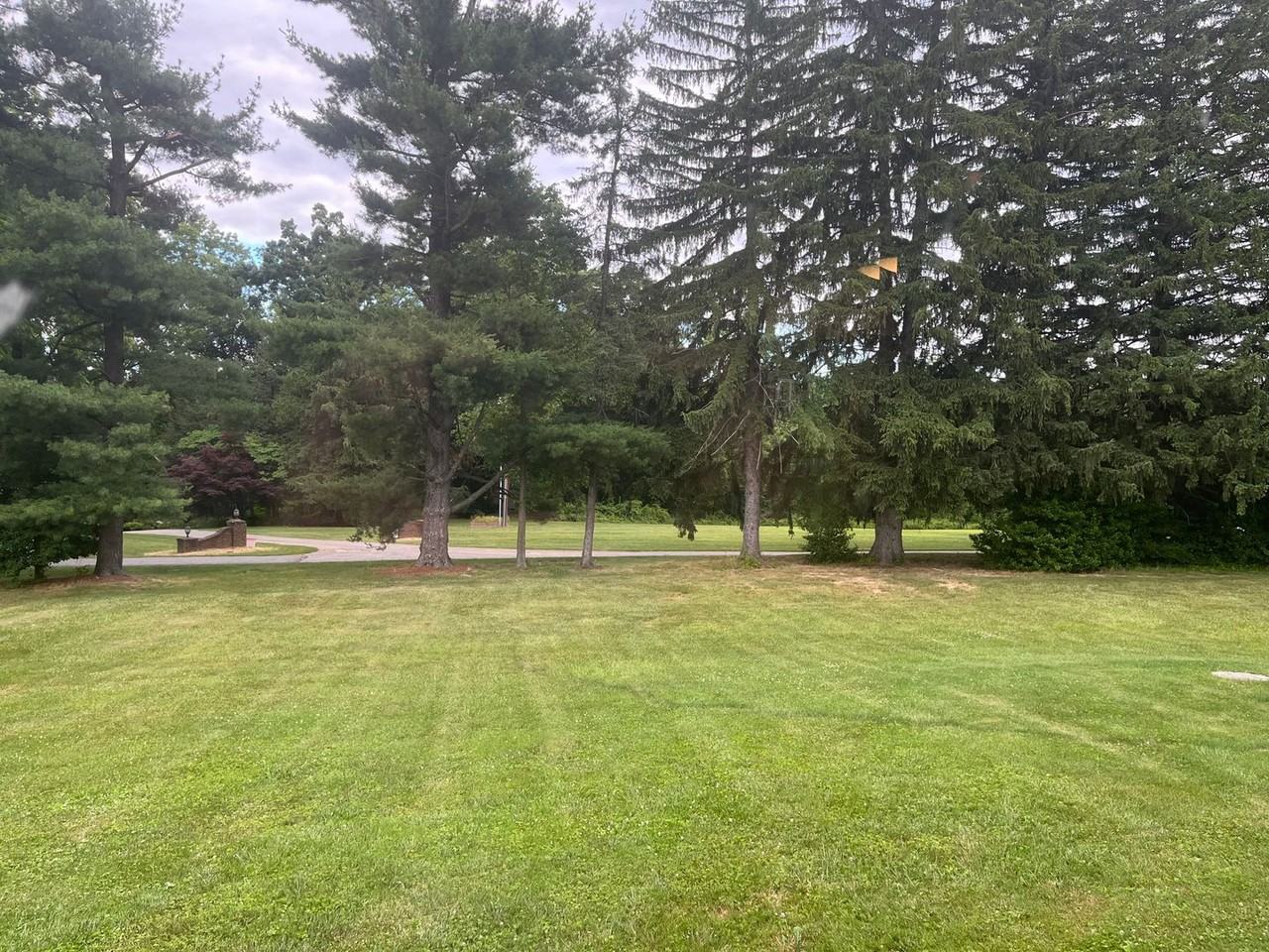 3045 E Prospect Rd - Photo 6 of 14