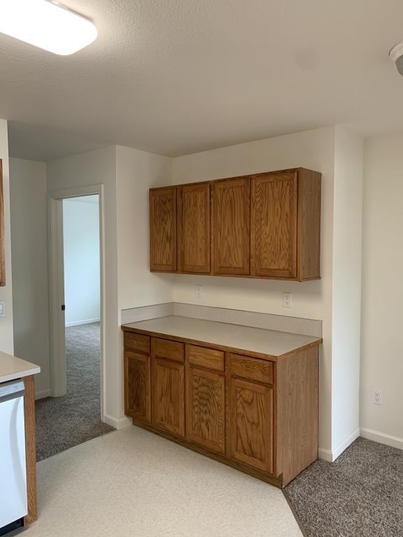 231 Nw 3rd St - Photo 4 of 21