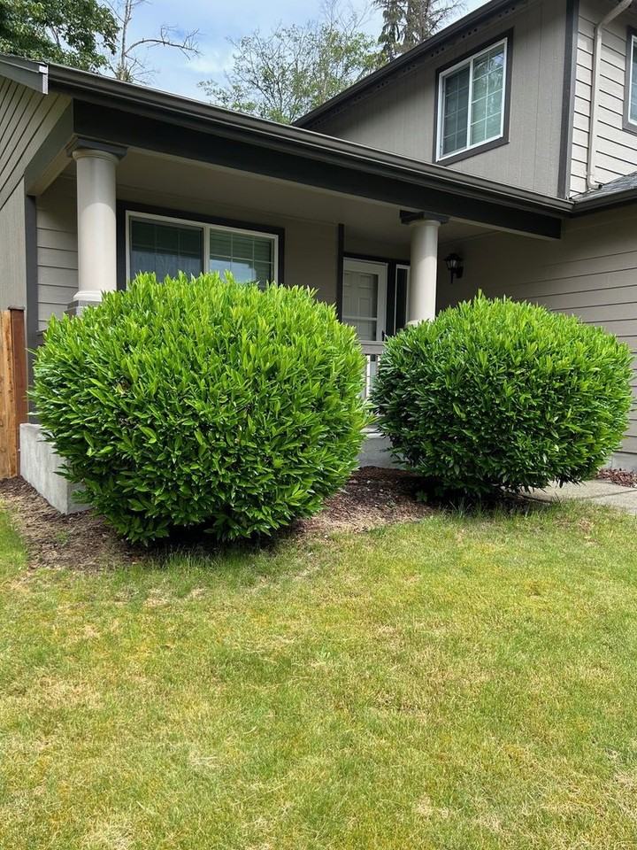 8527 176th Pl Ne - Photo 2 of 23