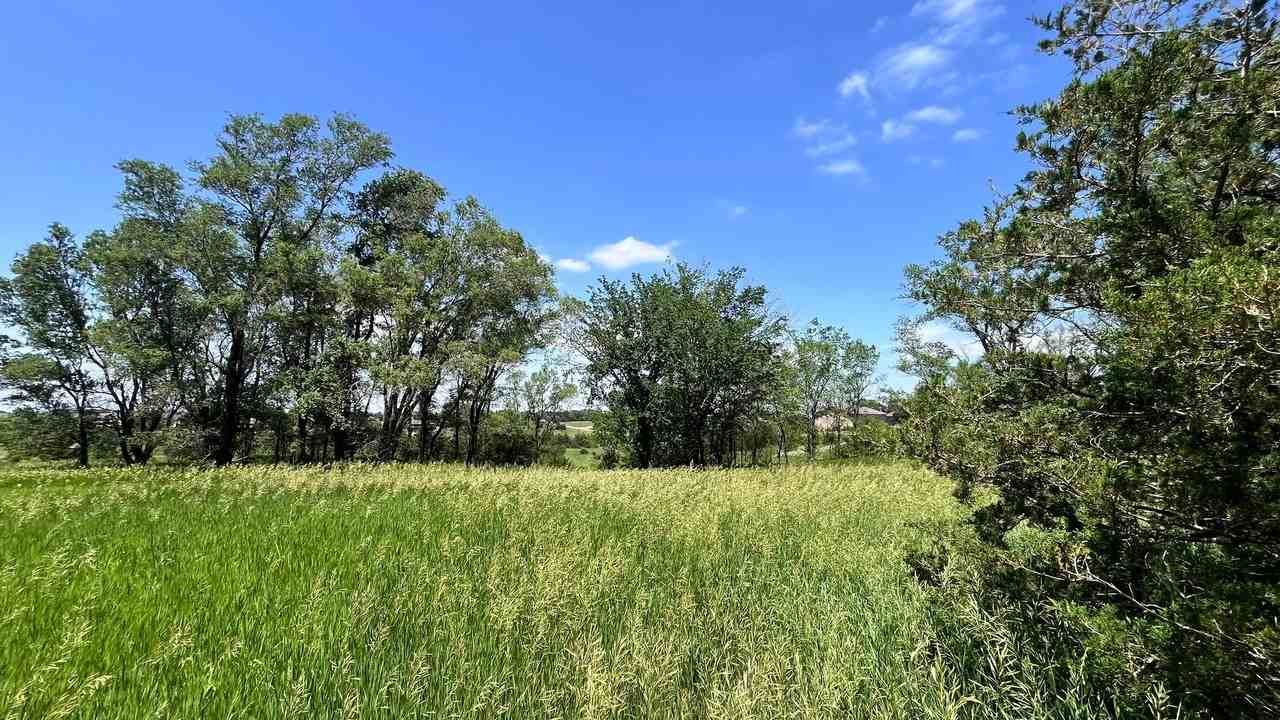 27321 479th Ave - Photo 3 of 26
