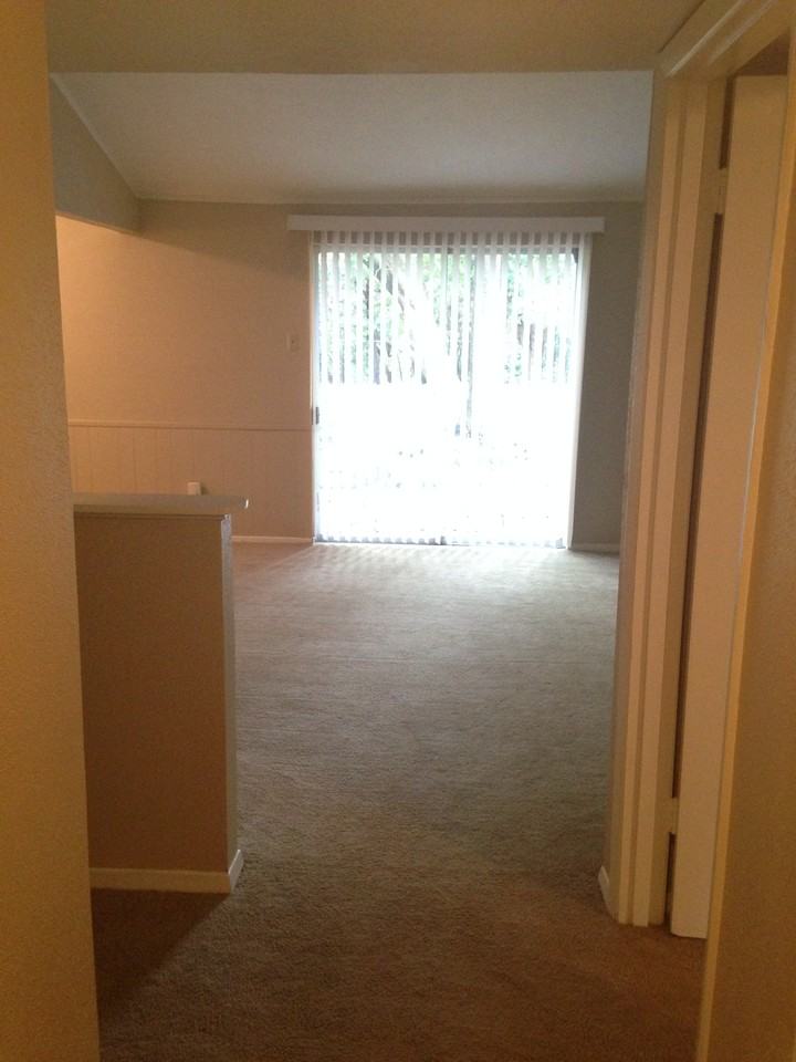 1401 Wisteria Way - Photo 2 of 21