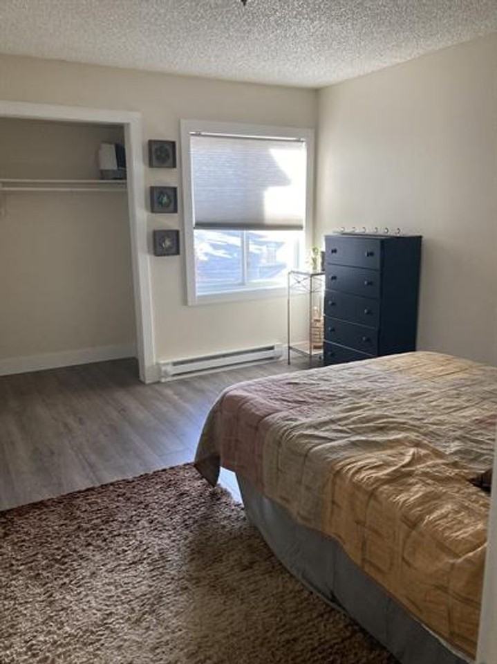 3403 Ryan Gulch Rd - Photo 7 of 10