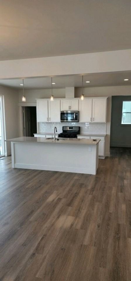 1610 Wyatt Earp Ct - Photo 3 of 29