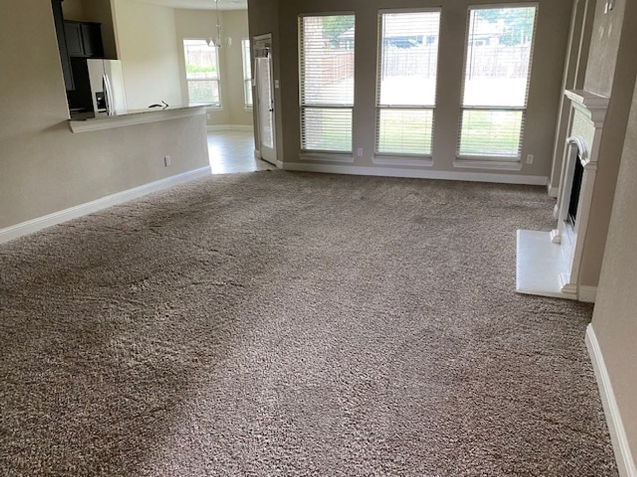 705 Buffalo Creek Dr - Photo 2 of 24