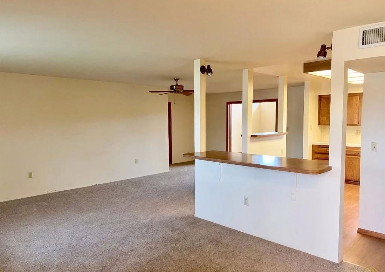 509 Pebble Beach Dr - Photo 3 of 14