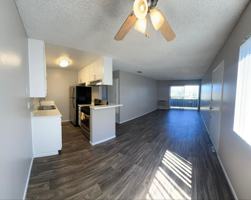 featured image of 250 S Rose St